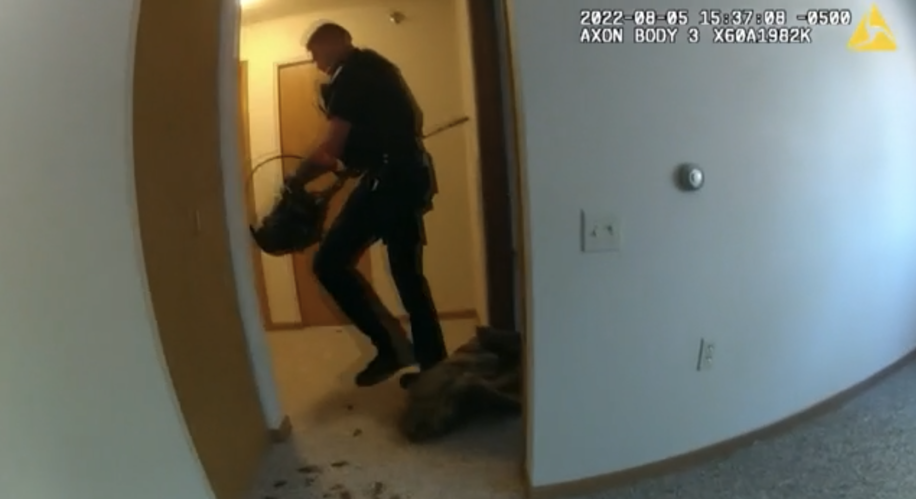 Woman finds apartment broken into, with a wild turkey intruder - Vimarsana News